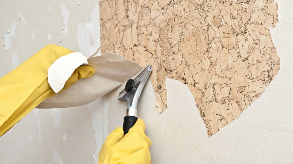 Wallpaper Removal and Installation